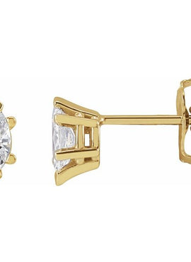 Platinum 1/2 CTW Natural Diamond Earrings
