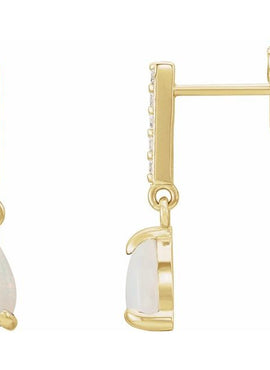 Platinum Natural Black Onyx & .08 CTW Natural Diamond Earrings