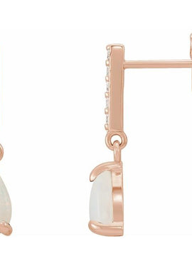 Platinum Natural Black Onyx & .08 CTW Natural Diamond Earrings