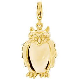 Owl Charm
